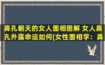 鼻孔朝天的女人面相图解 女人鼻孔外露命运如何(女性面相学：鼻孔朝天的女人命运如何？面相图解教你一眼看穿！)